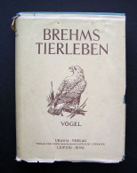 Brehms Tierleben Vögel 1956 - Alte Bücher