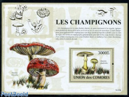 Comoros 2009 Mushrooms S/s, Mint NH, Nature - Mushrooms - Mushrooms