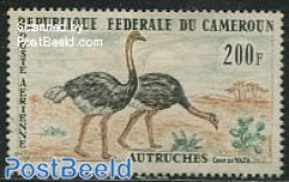 Cameroon 1962 200F, Stamp Out Of Set, Mint NH, Nature - Birds - Cameroun (1960-...)