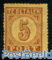 Netherlands 1870 5c, Postage Due, Type B, Perf. 13.25, Unused (hinged) - Otros & Sin Clasificación