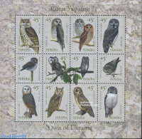 Ukraine 2003 Owls 12v M/s, Mint NH, Nature - Birds - Birds Of Prey - Owls - Ukraine