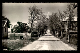 31 - LE FAGET - AVENUE DE L'ECOLE - Sonstige & Ohne Zuordnung