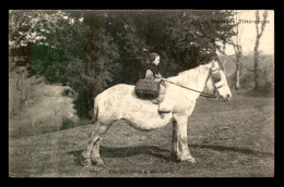 29 - CARHAIX - EN ROUTE POUR LE MARCHE - CHEVAL - Carhaix-Plouguer