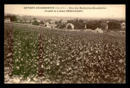 21 - GEVREY-CHAMBERTIN - CLOS DES RUCHOTTES-CHAMBERTIN - PROPRIETE DE LA MAISON THOMAS-BASSOT - Gevrey Chambertin