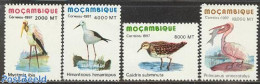 Mozambique 1997 Birds 4v, Mint NH, Nature - Birds - Fish - Storks - Poissons