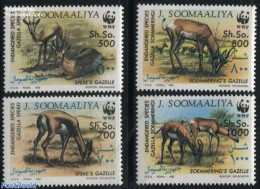 Somalia 1992 Animals, Only WWF 4v, Mint NH, Nature - World Wildlife Fund (WWF) - Somalie (1960-...)