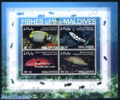 Maldives 2006 Fish Of The Maldives 4v M/s, Mint NH, Nature - Fish - Fische
