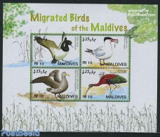 Maldives 2006 Migrated Birds Of The Maldives 4v M/s, Mint NH, Nature - Birds - Ducks - Fish - Fishes