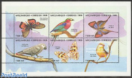 Mozambique 1999 Birds & Butterflies 6v M/s, Mint NH, Nature - Birds - Butterflies - Mosambik