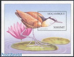 Mozambique 2003 African Birds S/s /Actophilornis Africanus, Mint NH, Nature - Birds - Mosambik