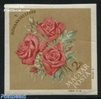 Hungary 1963 Roses Expo 1v Imperforated, Mint NH, Nature - Flowers & Plants - Roses - Neufs