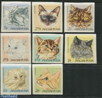 Hungary 1968 Cats 8v Imperforated, Mint NH, Nature - Cats - Ungebraucht