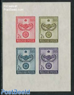 Hungary 1965 Int. Co-operation S/s Imperforated, Mint NH, History - United Nations - Ongebruikt