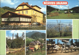 72239833 Horni  Lomna Beskydy Salajka Hotel  Frydek-Mistek - Tchéquie