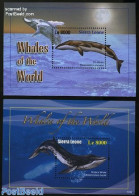 Sierra Leone 2010 Whales 2 S/s, Mint NH, Nature - Sea Mammals - Sonstige & Ohne Zuordnung