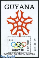Guyana 1988 Olympic Winter Games S/s, Mint NH, Sport - Olympic Winter Games - Guiana (1966-...)