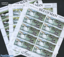 Isle Of Man 1991 Swans 3 M/ss, Mint NH, Nature - Birds - Ducks - Swans - Isla De Man