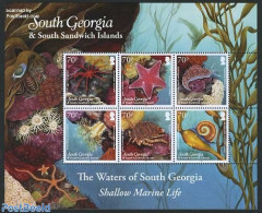 South Georgia / Falklands Dep. 2011 Shallow Marine Life 6v M/s, Mint NH, Nature - Shells & Crustaceans - Maritiem Leven