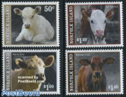 Norfolk Island 2008 Rinder 4v, Mint NH, Nature - Animals (others & Mixed) - Cattle - Sonstige & Ohne Zuordnung