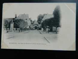 CARTE PRECURSEUR 1900               RICHELIEU                 LA PLACE DU MARCHE ET LA PORTE DE CHATELLERAULT - Autres & Non Classés