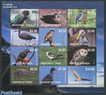 Tonga 2012 Birds 12v M/s, Mint NH, Nature - Birds - Birds Of Prey - Ducks - Owls - Parrots - Sonstige & Ohne Zuordnung