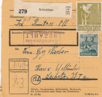 Paketkarte 1948: Schnaitsee Nach Haar B. München - Covers & Documents