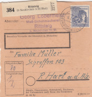 Paketkarte 1948: Rittsteig Bei Neukirchen, Schuhmacherei, Nach Hart - Covers & Documents