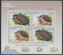 Belarus 2012 Hedgehogs S/s, Joint Issue Kazakhstan, Mint NH, Nature - Various - Animals (others & Mixed) - Hedgehog - .. - Emisiones Comunes