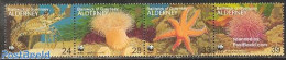 Alderney 1993 WWF, Marine Life 4v [:::], Mint NH, Nature - Shells & Crustaceans - World Wildlife Fund (WWF) - Meereswelt