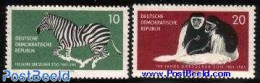 Germany, DDR 1961 Dresdner Zoo 2v, Mint NH, Nature - Animals (others & Mixed) - Monkeys - Zebra - Ongebruikt