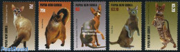 Papua New Guinea 2005 Cats 5v, Mint NH, Nature - Cats - Papouasie-Nouvelle-Guinée