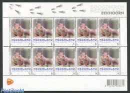 Netherlands 2013 Squirrel M/s, Mint NH, Nature - Animals (others & Mixed) - Ungebraucht