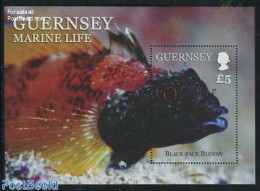 Guernsey 2013 Marine Life S/s, Mint NH, Nature - Fish - Fische