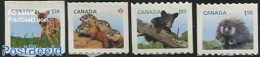 Canada 2013 Young Animals Coil S-a 4v, Mint NH, Nature - Animals (others & Mixed) - Bears - Deer - Hedgehog - Ungebraucht