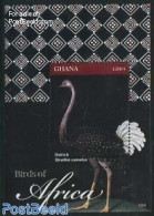 Ghana 2012 Birds Of Africa S/s, Mint NH, Nature - Birds - Sonstige & Ohne Zuordnung