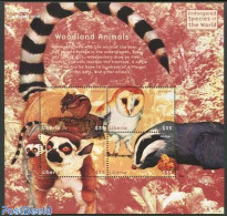 Liberia 2000 Endangered Animals 4v M/s, Mint NH, Nature - Animals (others & Mixed) - Owls - Autres & Non Classés