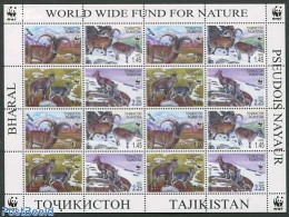 Tajikistan 2005 Mountain Fauna M/s, Mint NH, Nature - Animals (others & Mixed) - World Wildlife Fund (WWF) - Tayikistán