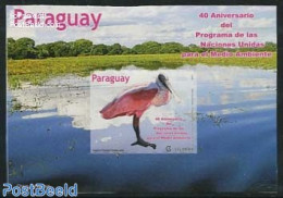 Paraguay 2012 UN Environmental Programm S/s, Mint NH, Nature - Birds - Environment - Protection De L'environnement & Climat