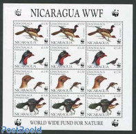 Nicaragua 1994 WWF M/s, Mint NH, Nature - Birds - World Wildlife Fund (WWF) - Nicaragua