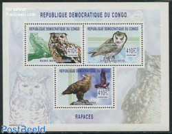 Congo Dem. Republic, (zaire) 2003 Birds Of Prey S/s, Mint NH, Nature - Birds - Birds Of Prey - Owls - Sonstige & Ohne Zuordnung