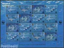 Montserrat 1999 WWF, Hammershark M/s, Mint NH, Nature - Fish - World Wildlife Fund (WWF) - Sharks - Peces