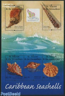 Saint Vincent 2013 Shells 5v M/s, Mint NH, Nature - Shells & Crustaceans - Marine Life