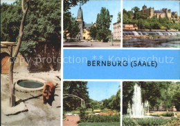 72237091 Bernburg Saale Baerenfreigehege Schloss Kurhaus Rosengarten Marx Engels - Bernburg (Saale)