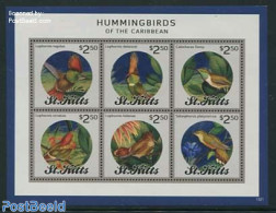 Saint Kitts/Nevis 2013 Birds 6v M/s, Mint NH, Nature - Birds - Other & Unclassified