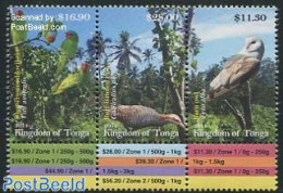 Tonga 2014 Birds 3v [::], Mint NH, Nature - Birds - Owls - Parrots - Other & Unclassified