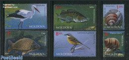 Moldova 2014 Moldovan Fauna 6v, Mint NH, Nature - Animals (others & Mixed) - Birds - Fish - Fishes