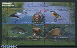 Moldova 2014 Moldovan Fauna S/s, Mint NH, Nature - Animals (others & Mixed) - Birds - Fish - Poissons