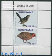 Suriname, Republic 2014 Birds S/s, Mint NH, Nature - Birds - Surinam
