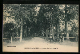 CPA Neuville-près-Sées, Avenue Du Bois-Josselin  - Otros & Sin Clasificación