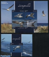 Saint Kitts/Nevis 2015 Seagulls 2 S/s, Mint NH, Nature - Birds - Other & Unclassified